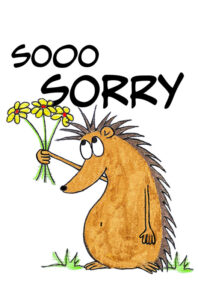 Illustration "Sorry-Igel"