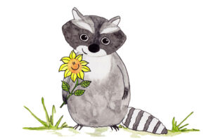 Illustration "Sonniger Waschbär"